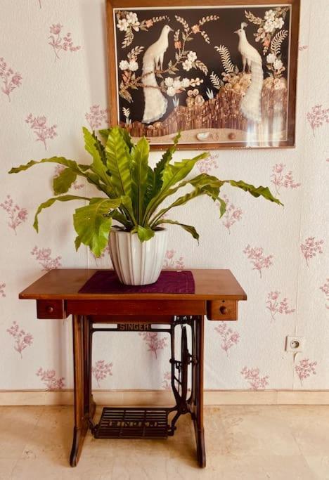 "Georgio" Grand Appartement Traversant Avec Vue Canal Et Parking セット エクステリア 写真